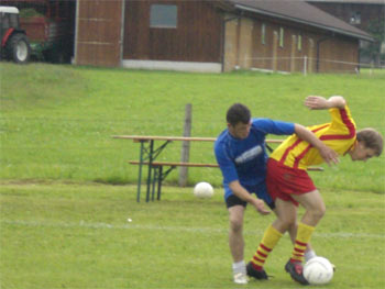 Der Duft von frischem Kuhmist weckte neue Kräfte